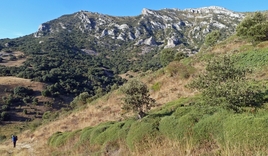 Foto Día 25 Cubilla de la Sierra – Peña El Buey (1.230 m) – La Verdina (1.352 m) – Monte Cimero (1.348 m) – Cantoña (1.353 m) – Peña Maya (1.309 m) – Miraveche (mañanera)